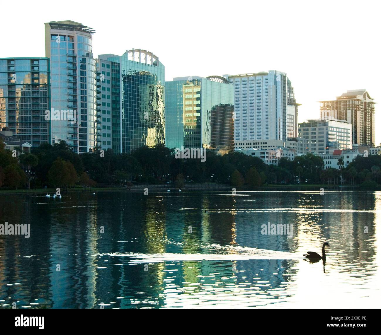 Alti appartamenti e condomini sul Lago Eola al tramonto a Orlando, Florida - USA Foto Stock