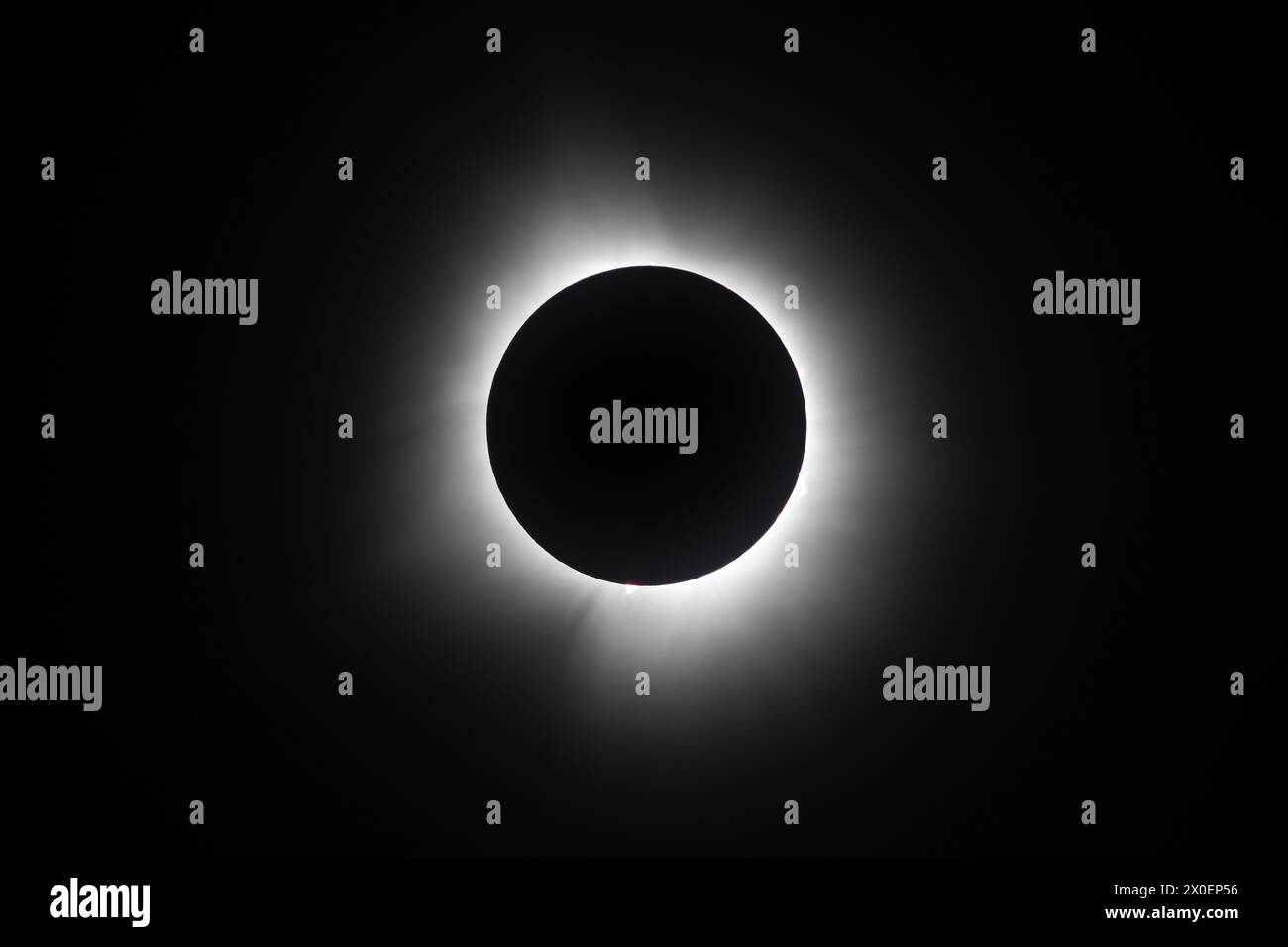 Immagine super-teleobiettivo dell'eclissi totale della sua corona interna negli Stati Uniti. La foto e' stata scattata ad una festa di osservazione dell'eclissi in un parco Walmart Foto Stock