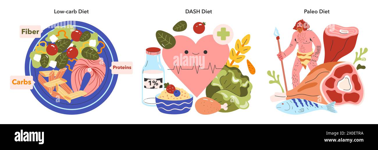 Set tendenze dietetiche. Guide visive alle diete a basso contenuto di carboidrati, DASH e Paleo con illustrazioni alimentari e simboli di salute. Equilibrio nutrizionale, concetto di stile di vita sano. Illustrazione vettoriale. Illustrazione Vettoriale