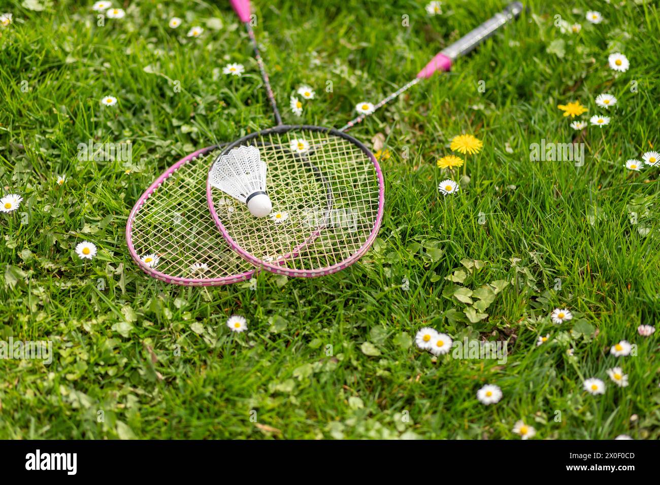Due racchette da badminton e un rubinetto giacciono sull'erba verde. Attività ricreative all'aperto e aria fresca. I raggi del sole. Prato per giocare a badminton. Foto Stock