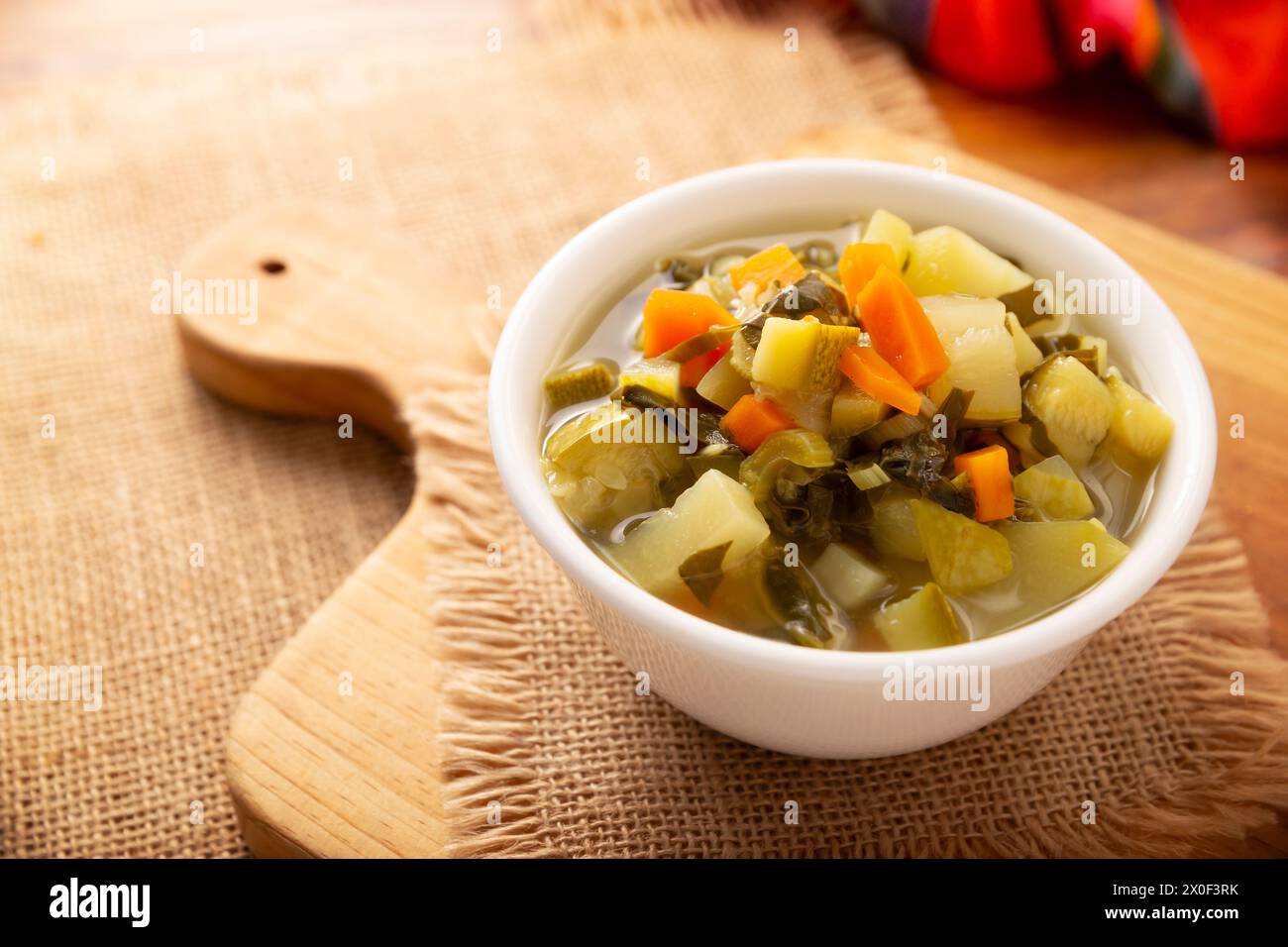Zuppa di verdure fresca fatta in casa, ricetta semplice con verdure tritate, carota, sedano, zucca, spinaci, chayote e altri ingredienti, piatto sano Foto Stock
