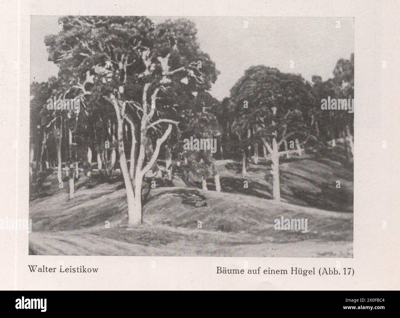 Un catalogo d'arte tedesco principalmente Ferdinand Hodler e Paul Cézanne e alcuni altri artisti come Oscar Kokoschka, Rubens, Rembrandt... ecc. del famoso artista e professore di storia dell'arte presso le università di Heidelberg, Strasburgo e Monaco Fritz Burger. Foto Stock