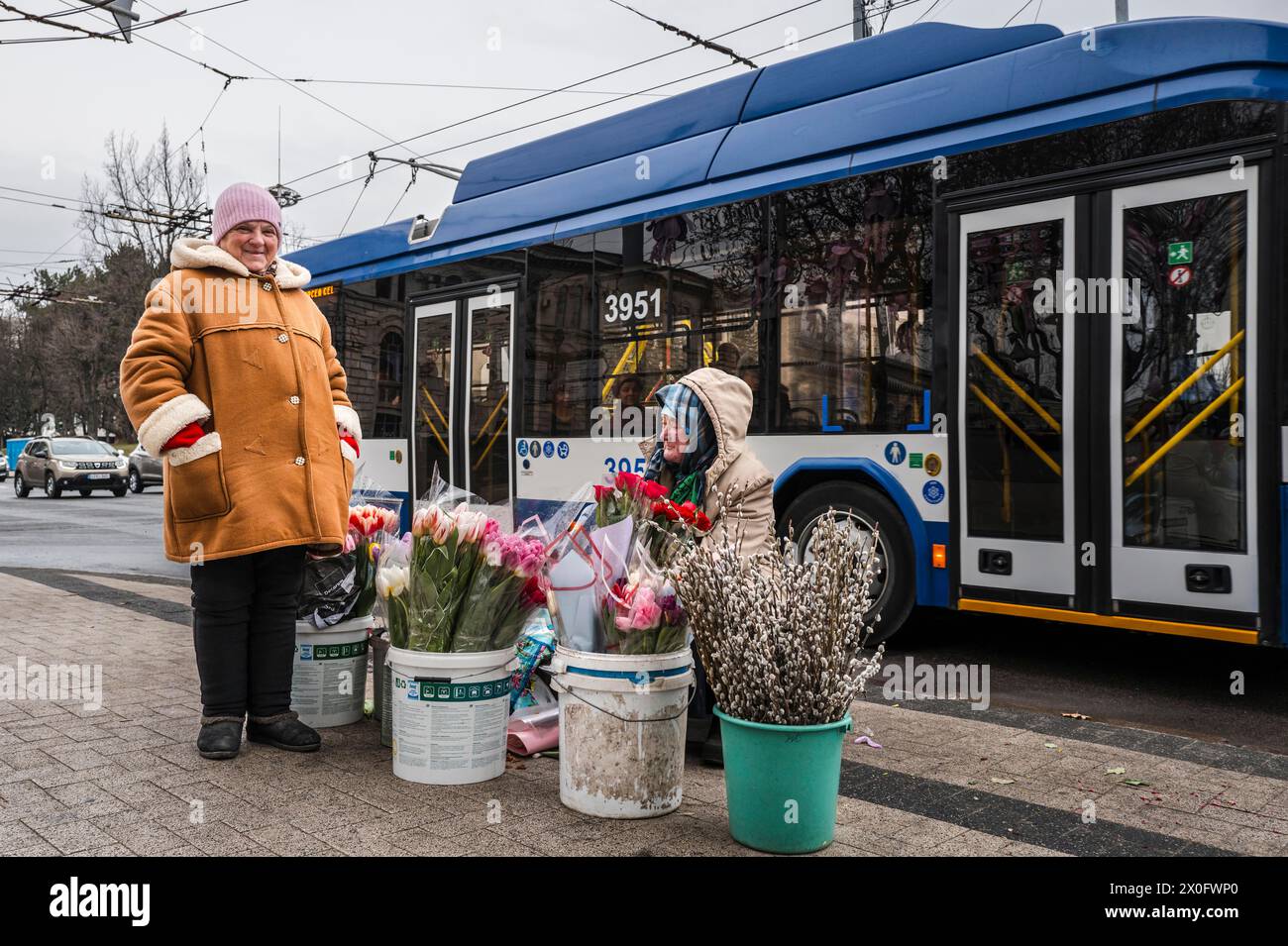 Venditori di tulipani. Atmosfera nel centro di Chisinau, venditori di tulipani e strade trafficate. Chisinau. Patricia Huchot-Boissier / Collectif DyF Foto Stock