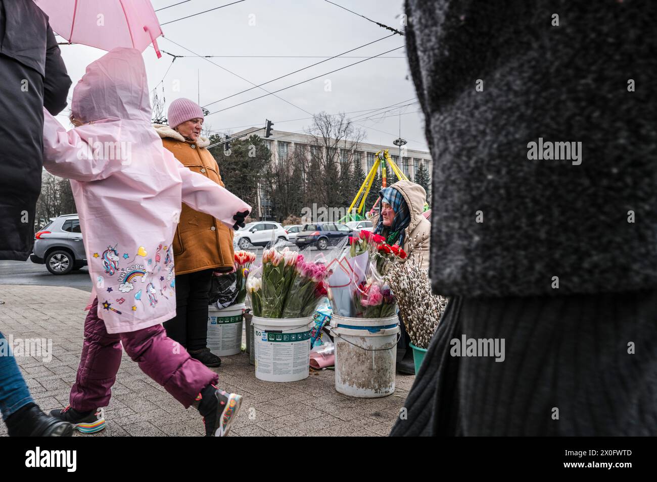 Venditori di tulipani. Atmosfera nel centro di Chisinau, venditori di tulipani e strade trafficate. Chisinau. Patricia Huchot-Boissier / Collectif DyF Foto Stock