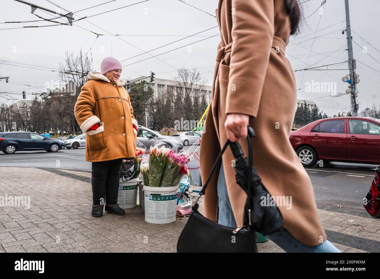 Venditori di tulipani. Atmosfera nel centro di Chisinau, venditori di tulipani e strade trafficate. Chisinau. Patricia Huchot-Boissier / Collectif DyF Foto Stock