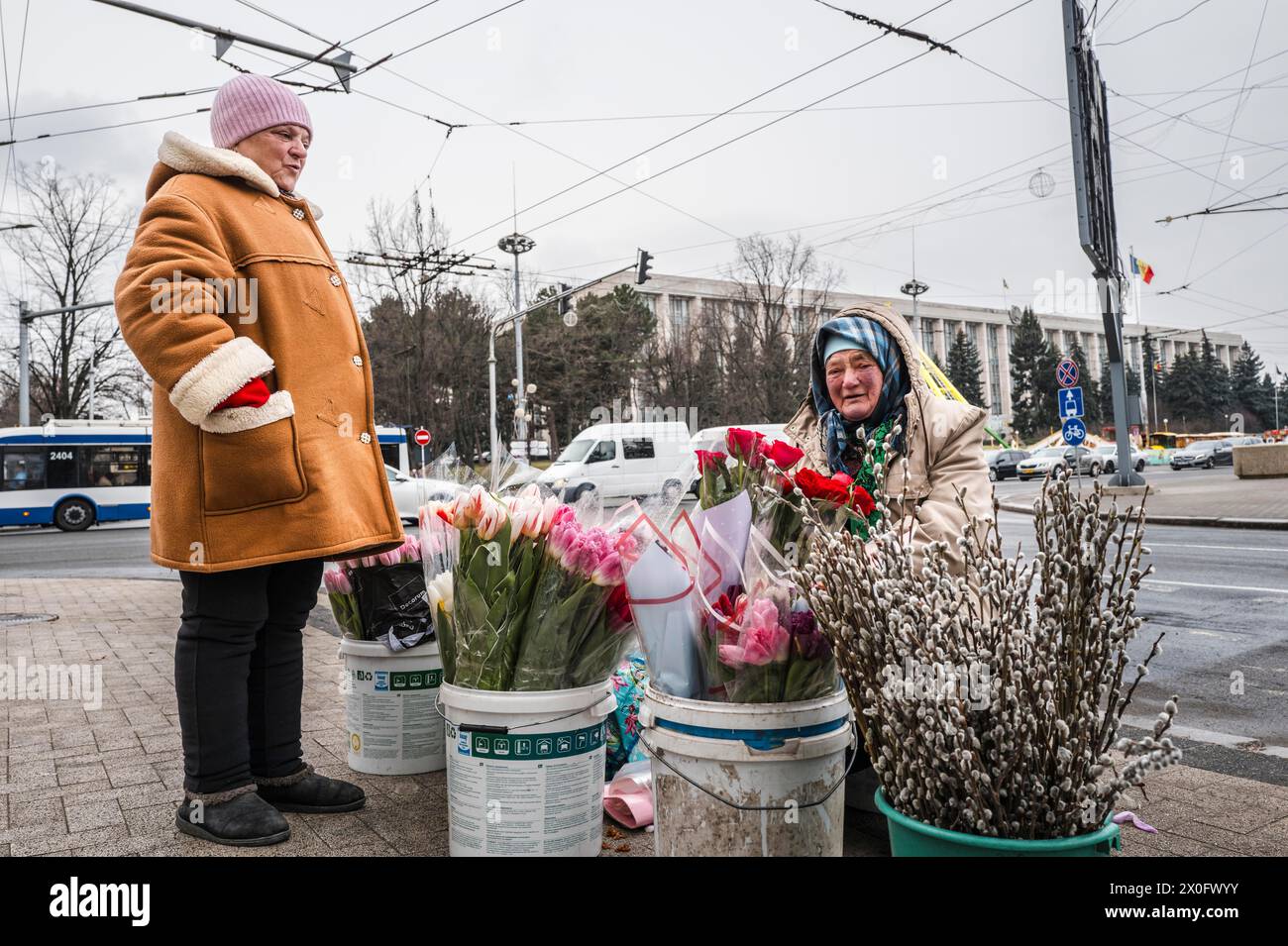 Venditori di tulipani. Atmosfera nel centro di Chisinau, venditori di tulipani e strade trafficate. Chisinau. Patricia Huchot-Boissier / Collectif DyF Foto Stock