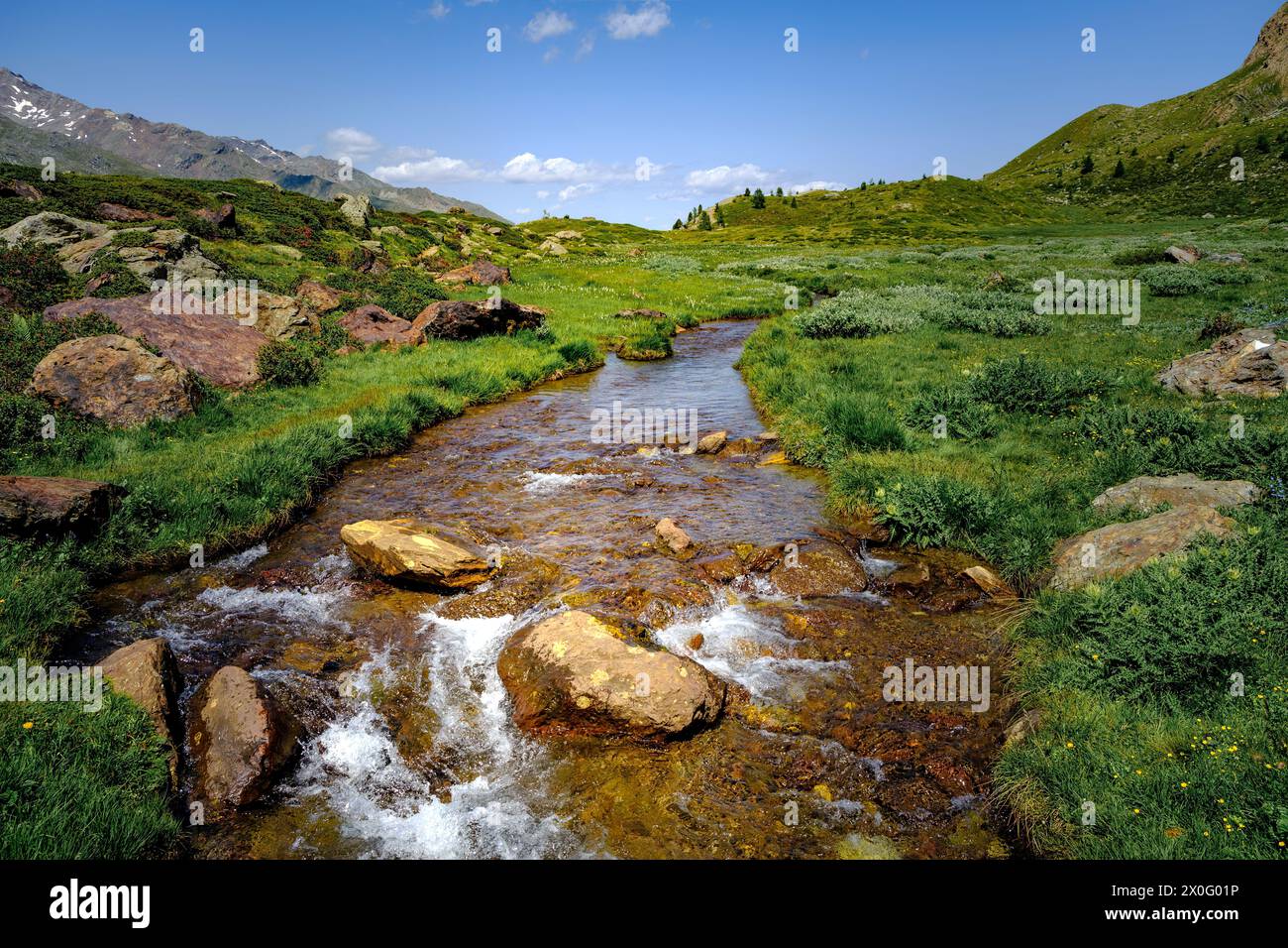Panorama alpino con un piccolo fiume durante l'estate in alto Adige Foto Stock