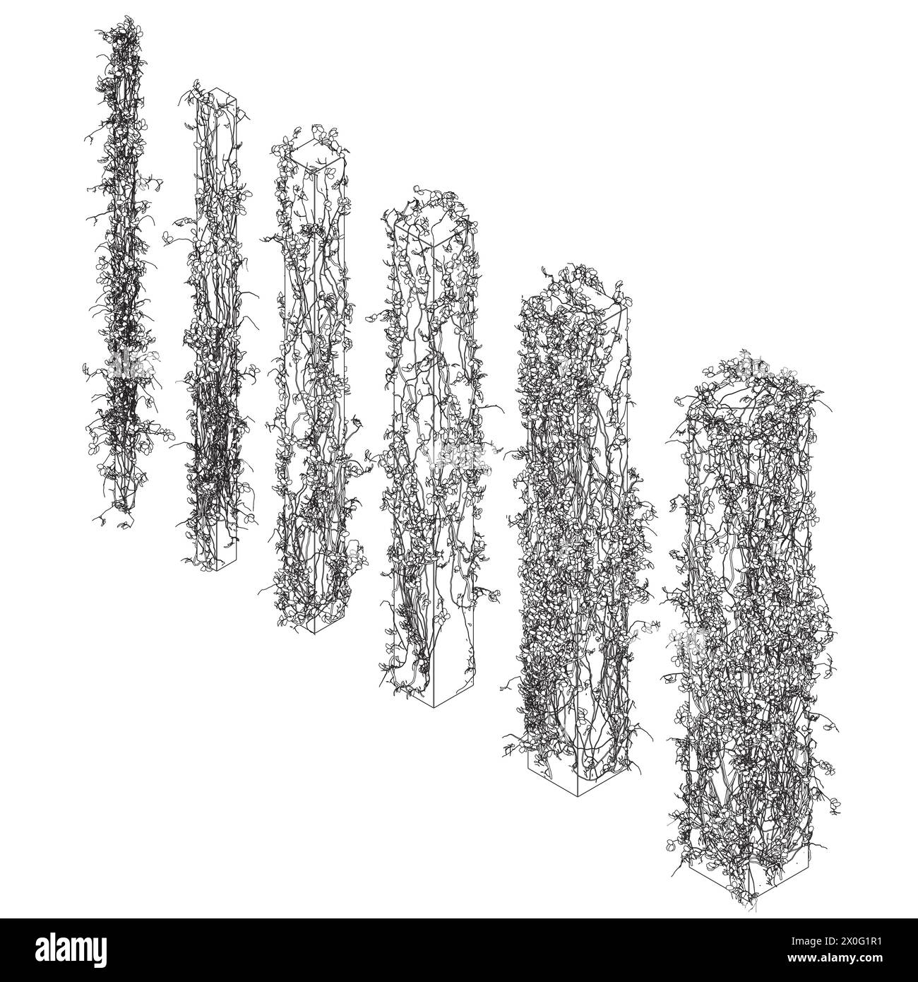 Contorno di colonne intrecciato con piante con foglie di linee nere isolate su sfondo bianco. 3D. Illustrazione vettoriale. Un set di colonne di d Illustrazione Vettoriale