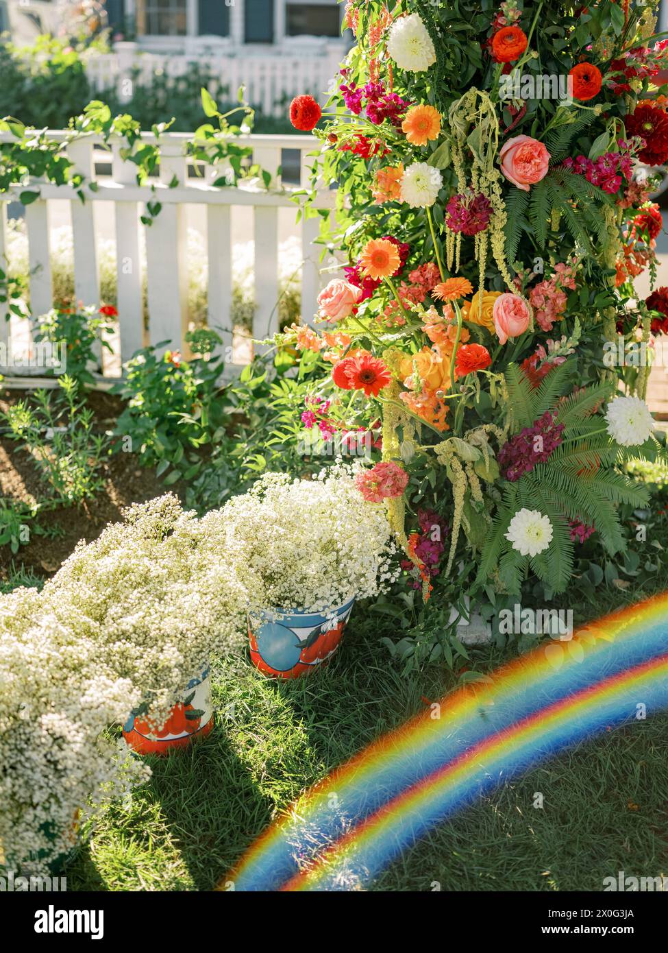Fiori da giardino con uno splendido arcobaleno naturale Foto Stock