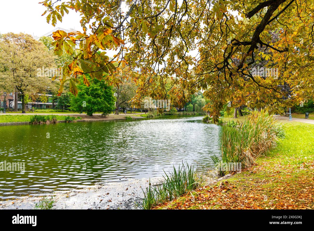 Lago in autunno a Parc Léopold, Bruxelles, Belgio Foto Stock