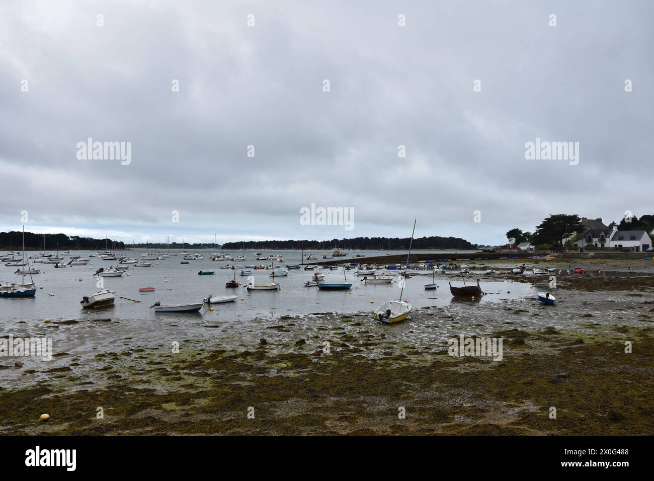 Porto di Low Tide: Barche sulla spiaggia coperta di alghe marine, Francia Foto Stock