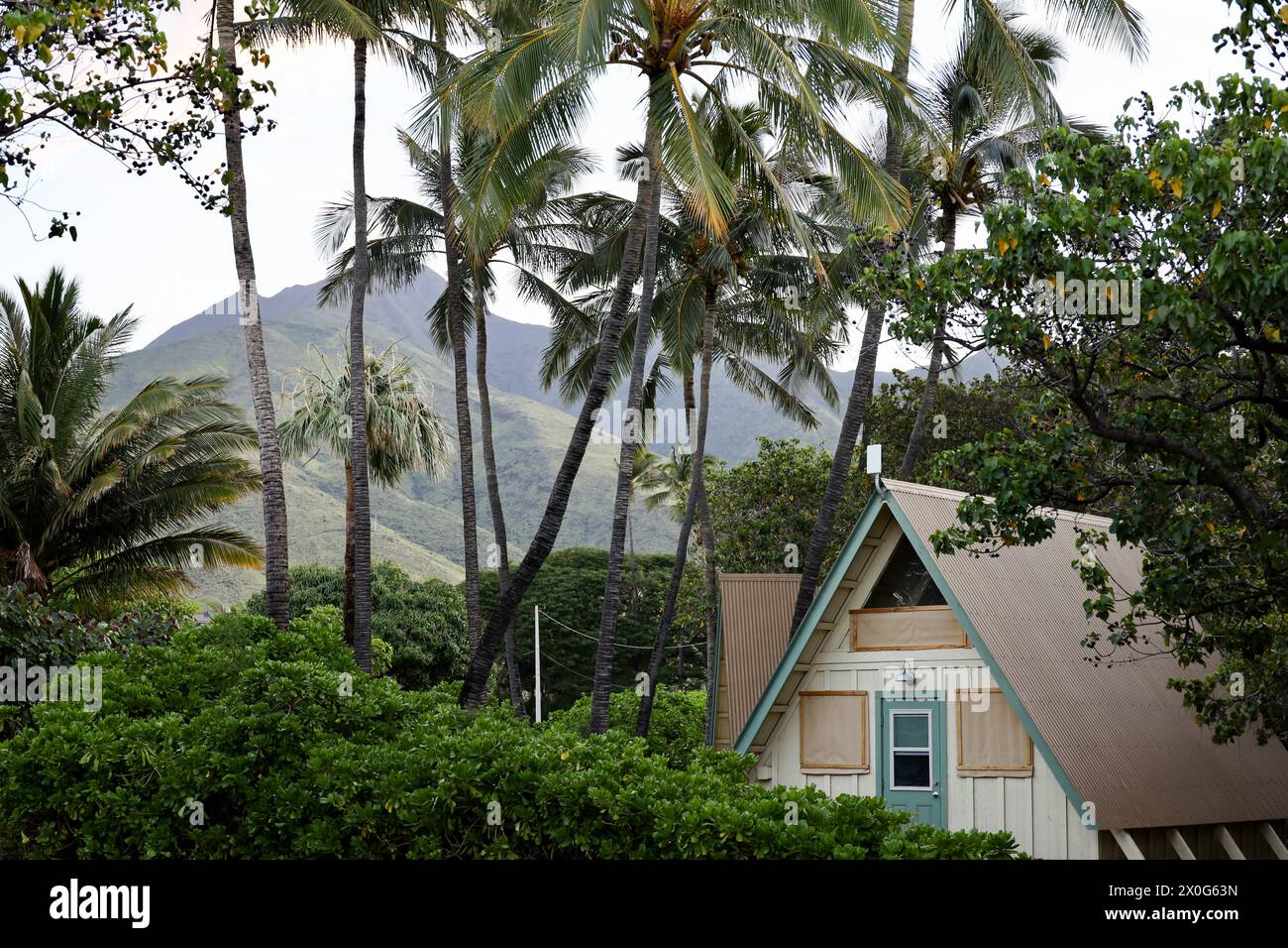 Cabina a Lahaina Hawaii circondata da vegetazione lussureggiante e montagne Foto Stock