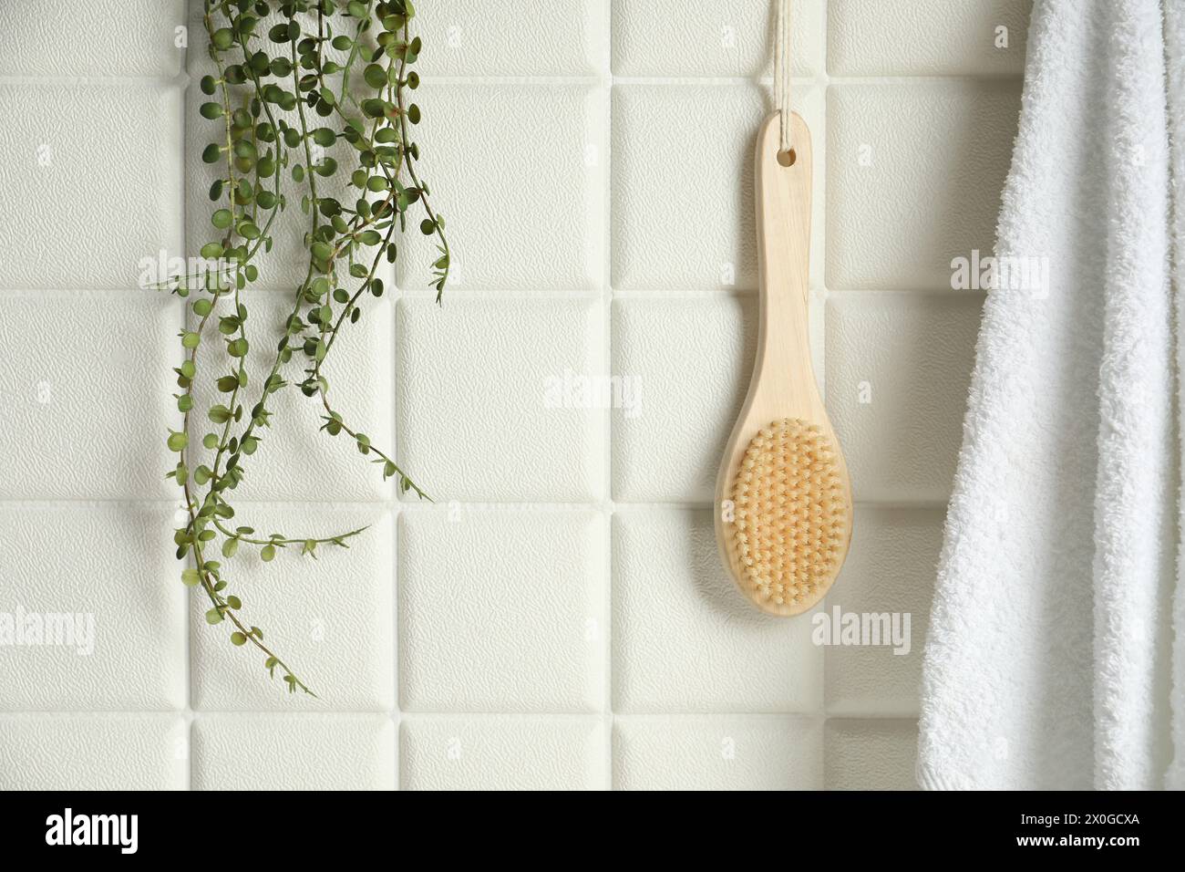 Accessori per il bagno. Spazzola di bambù, spugna e pianta verde su pareti piastrellate bianche Foto Stock