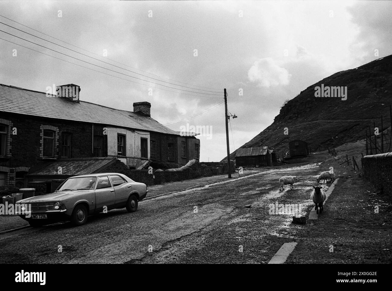 L'ex villaggio minerario di Troedrhiwfuwch in uno stato semi-abbandonato prima di essere demolito, Rhymney Valley, Galles del Sud, 1983 Foto Stock