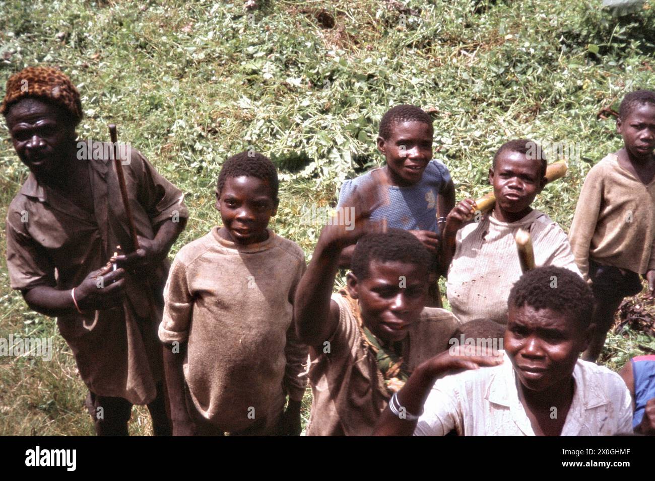 Gli abitanti di un villaggio pigmero nel Parco Nazionale di Kahuzi-Biega. [traduzione automatica] Foto Stock