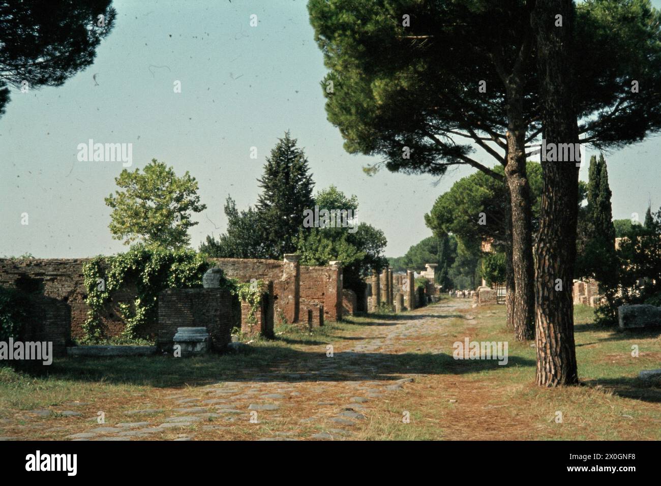 Veduta della via Decumanus Maximus nel sito di scavo Ostia Antica a Roma. [traduzione automatica] Foto Stock