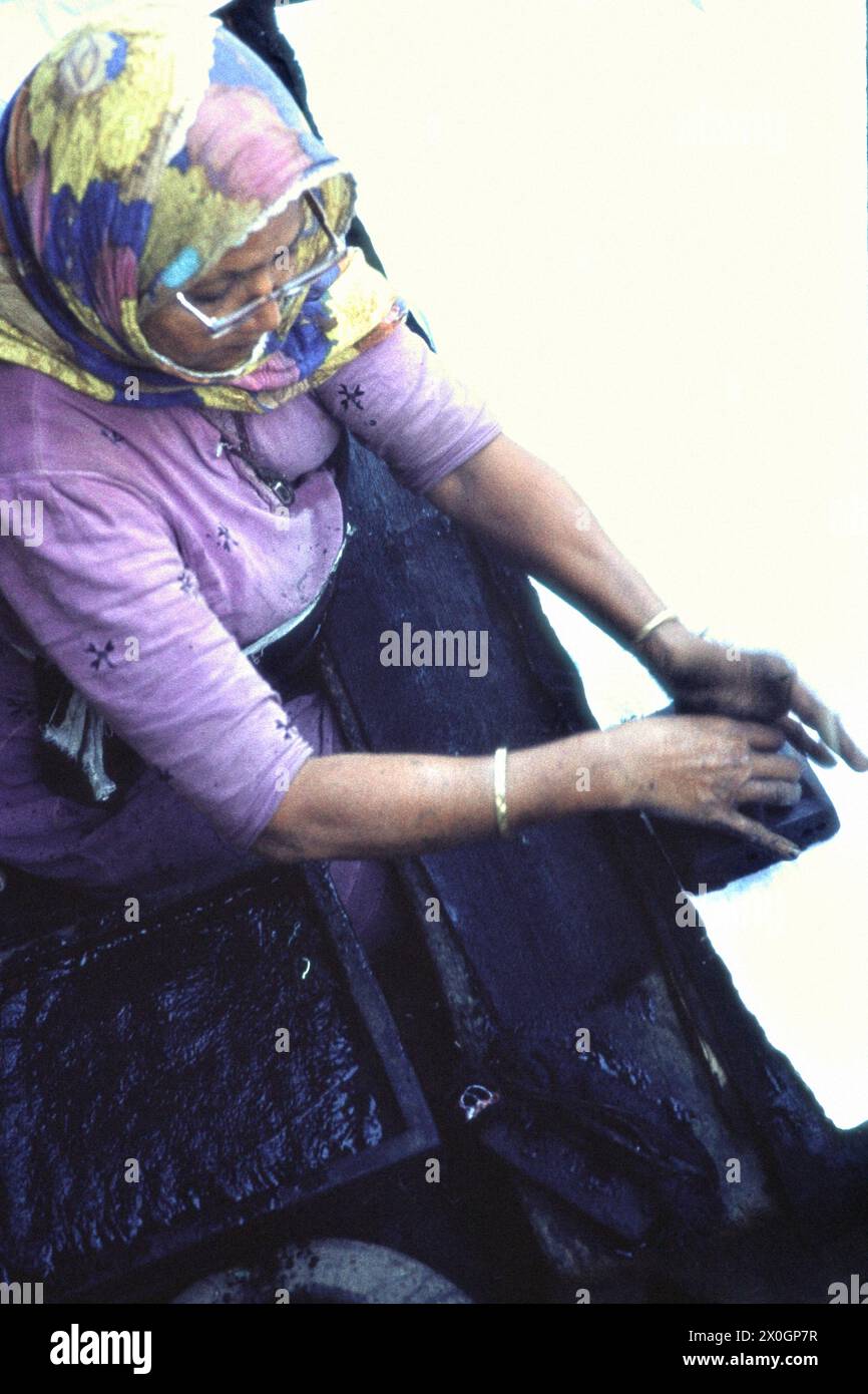 Una donna con un velo al lavoro in un'opera di stampa tessile ad Ahmedabad. [traduzione automatica] Foto Stock