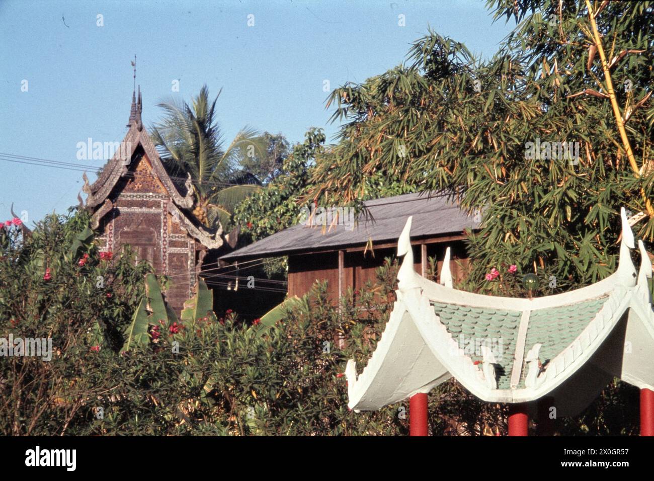 Capanne tradizionali in legno tra palme all'Hotel President di Chieng mai. [traduzione automatica] Foto Stock