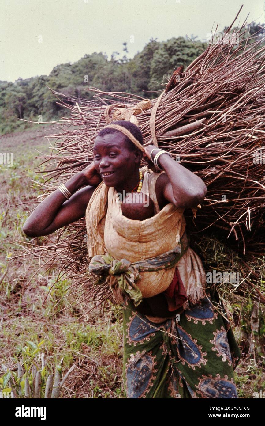 Una donna con bambino porta un fascio di ramoscelli sulla sua schiena in Kahuzi Biega National Park. Foto Stock