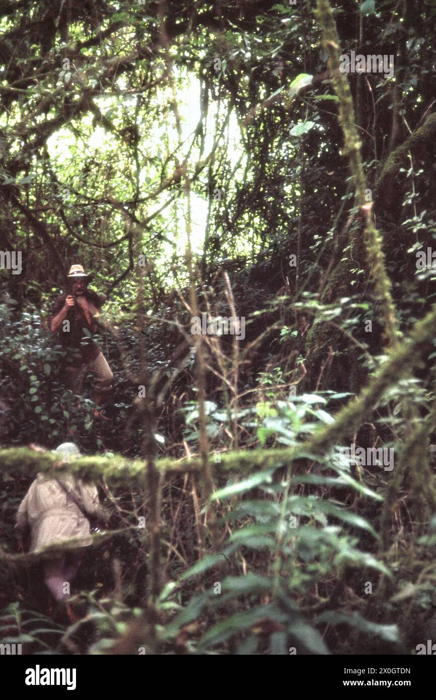 Un gruppo di turisti nella foresta pluviale del Parco Nazionale di Kahuzi-Biega. [traduzione automatica] Foto Stock