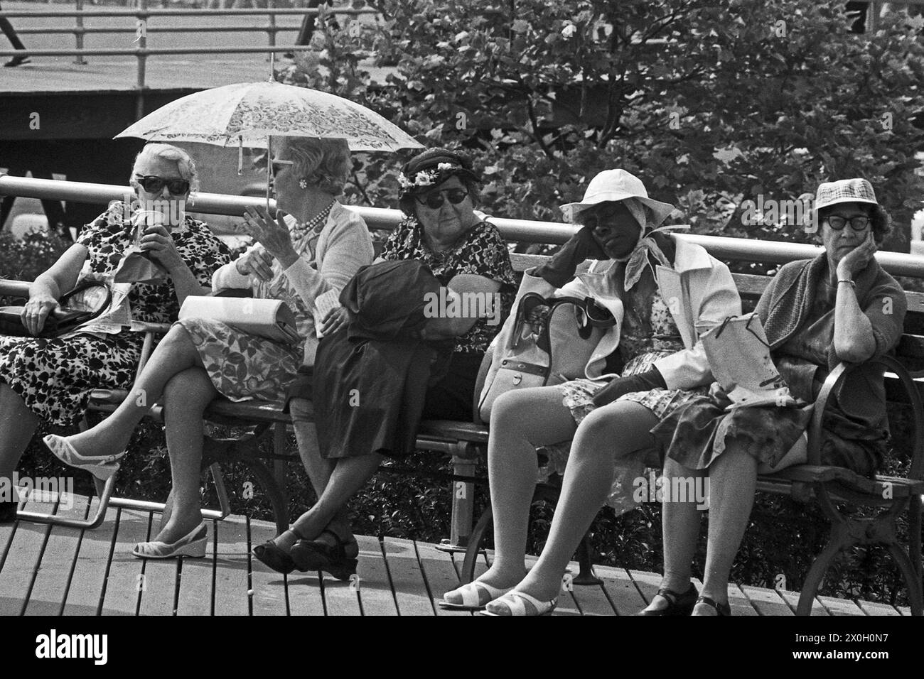 Cinque donne anziane siedono su un banco di lavoro a New York e uno di loro stessa protegge dal calore con un ombrellone. Foto Stock
