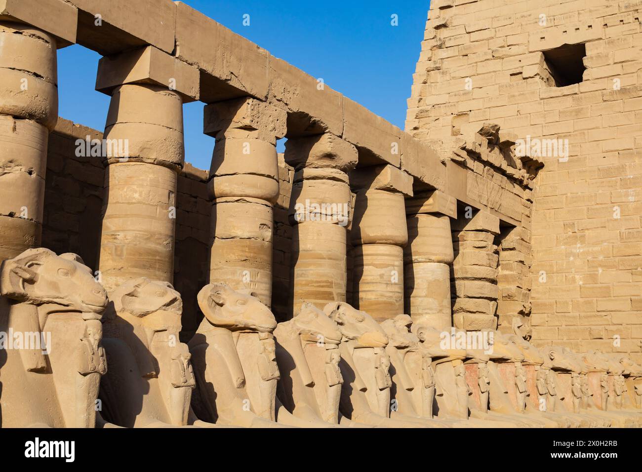 Avenue of Sphinxes (o Rams Road, Karnak Temple of Pharaoh Senusret 1, Luxor, Egitto Foto Stock