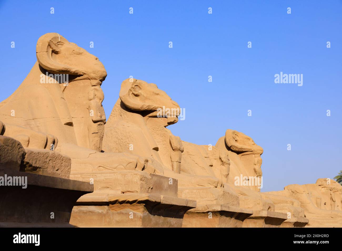 Avenue of Sphinxes (o Rams Road, Karnak Temple of Pharaoh Senusret 1, Luxor, Egitto Foto Stock