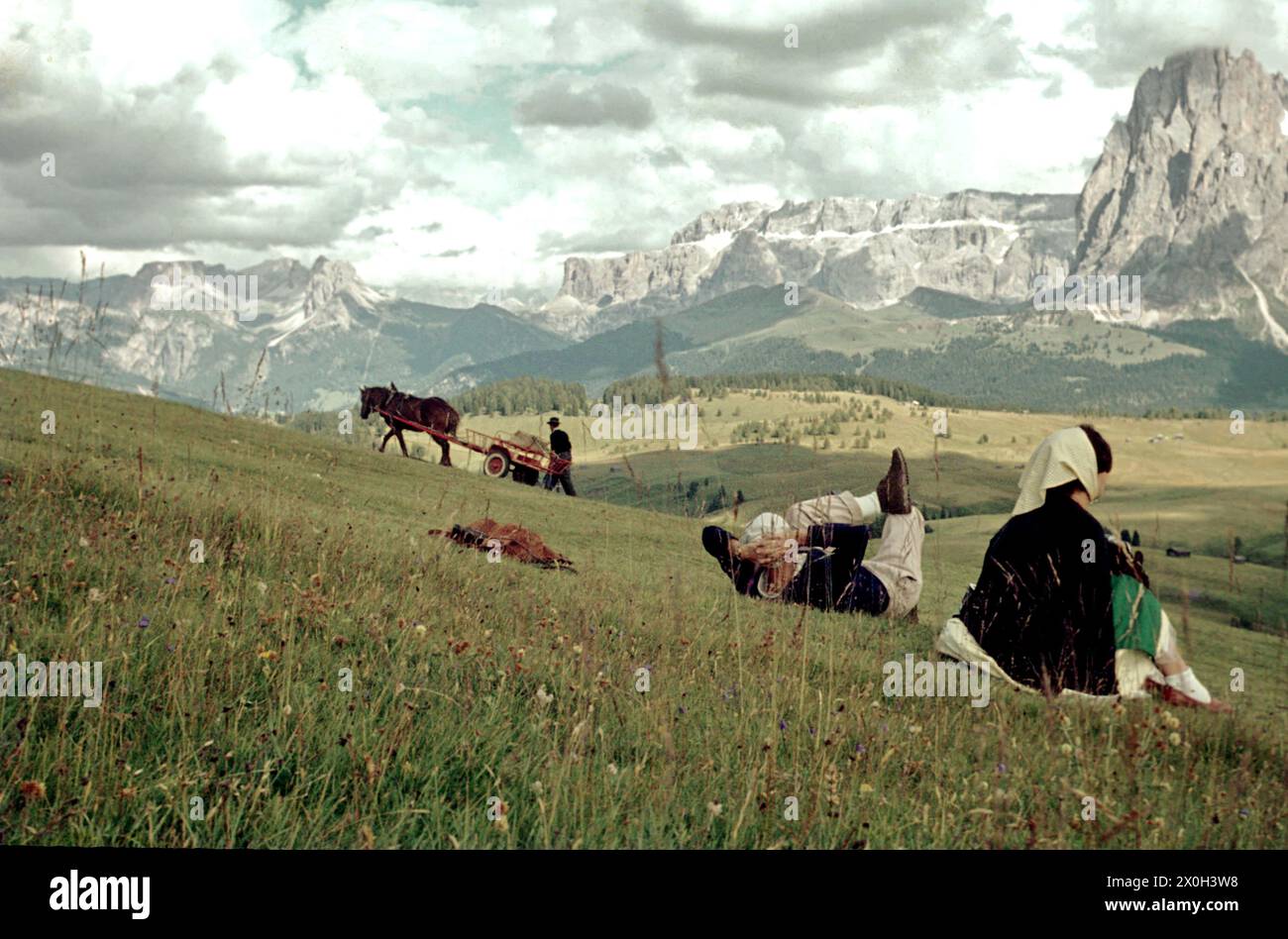 Un giovane su un prato alpino prima delle Dolomiti. In fondo è un uomo con un cavallo carrello. Foto Stock