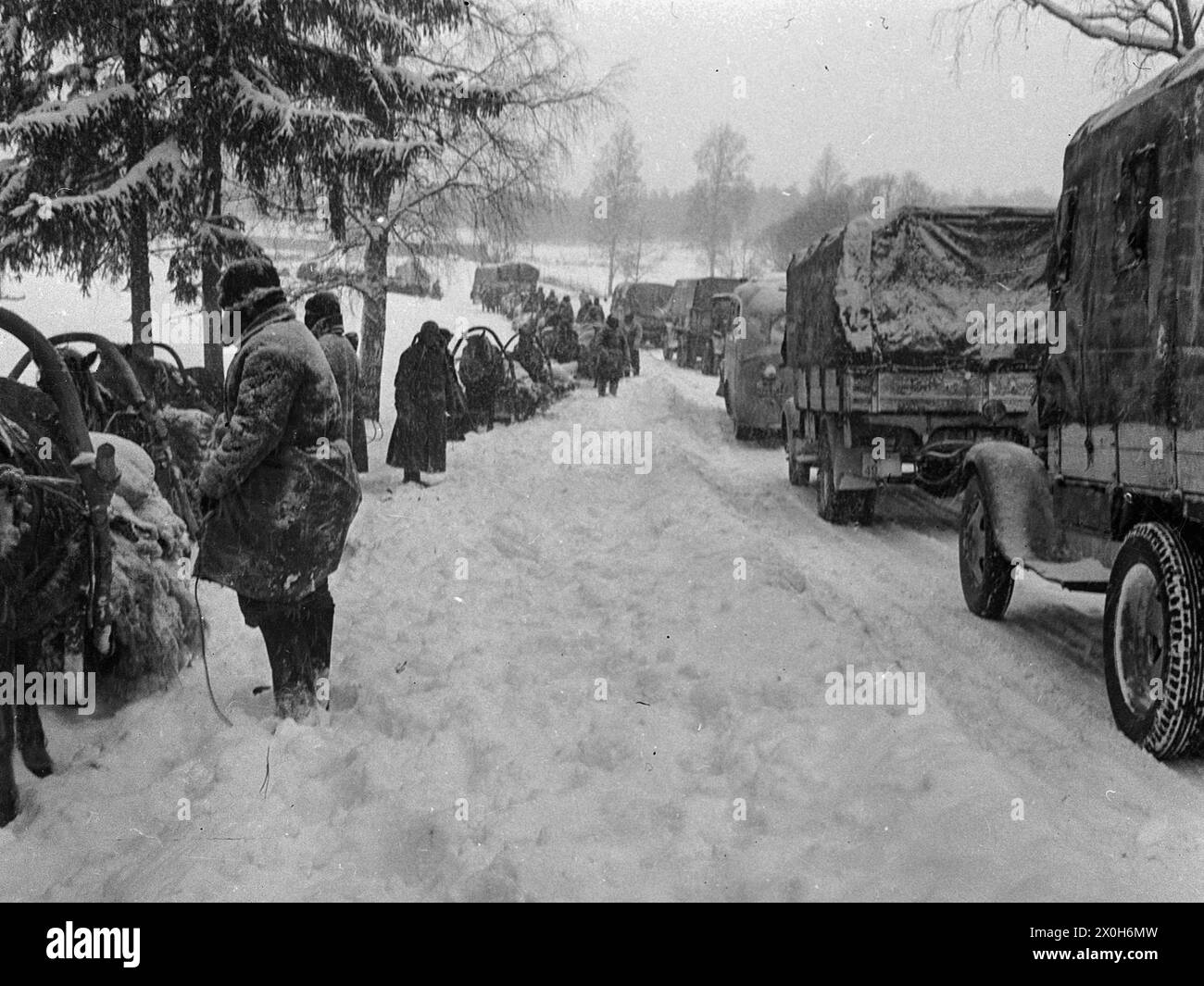 Mentre i veicoli della Wehrmacht avanzano su una strada innevata, gli agricoltori con i loro cavalli Panje e le slitte si trovano sul lato della strada nella direzione opposta. La foto fu scattata da un membro del Radfahrgrenadierregiment 2 / Radfahrsicherungsregiment 2, nella sezione settentrionale del fronte orientale. [traduzione automatizzata] Foto Stock
