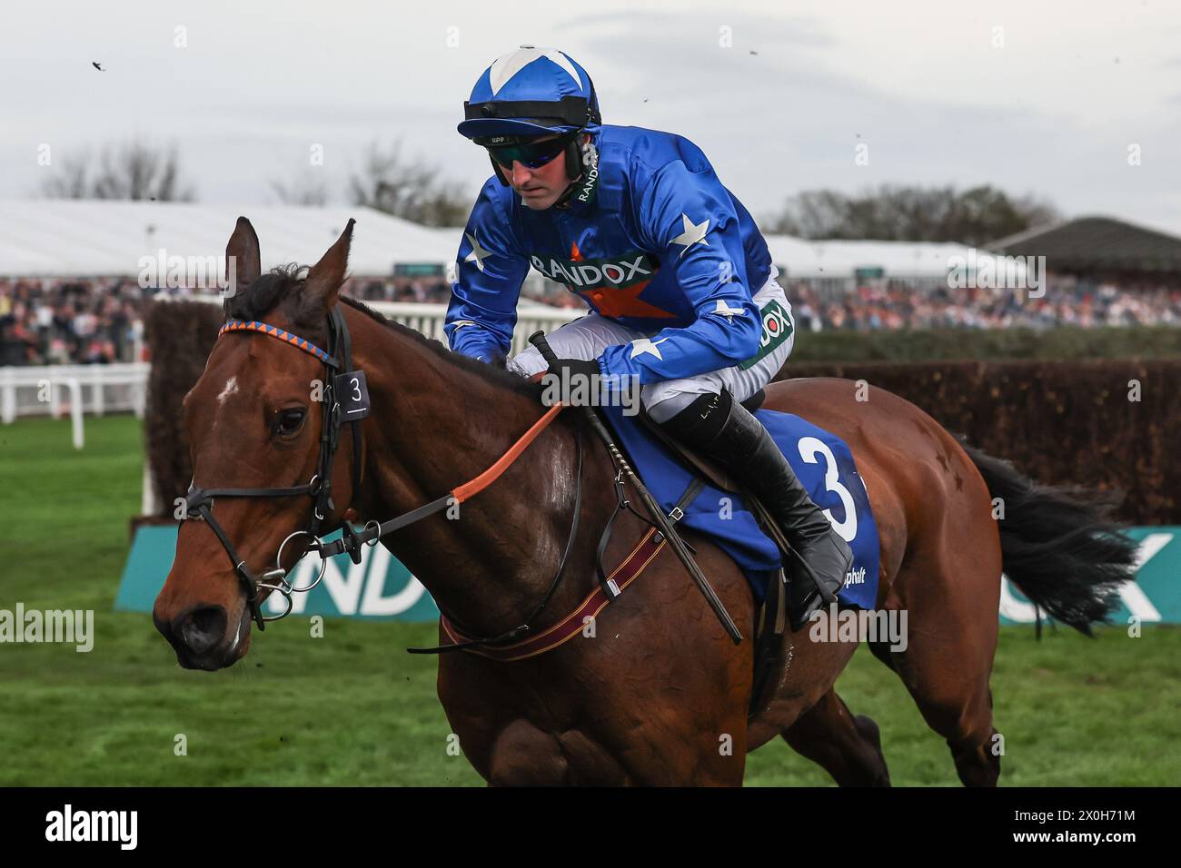 Giovinco guidato da Stephen Mulqueen durante le 13:45 Huyton Asphalt Franny Blennerhassett Memorial Mildmay Novices' Steeple Chase (Classe 1) durante il Randox Grand National 2024 Ladies Day all'Aintree Racecourse, Liverpool, Regno Unito, 12 aprile 2024 (foto di Mark Cosgrove/News Images) in, il 4/12/2024. (Foto di Mark Cosgrove/News Images/Sipa USA) credito: SIPA USA/Alamy Live News Foto Stock