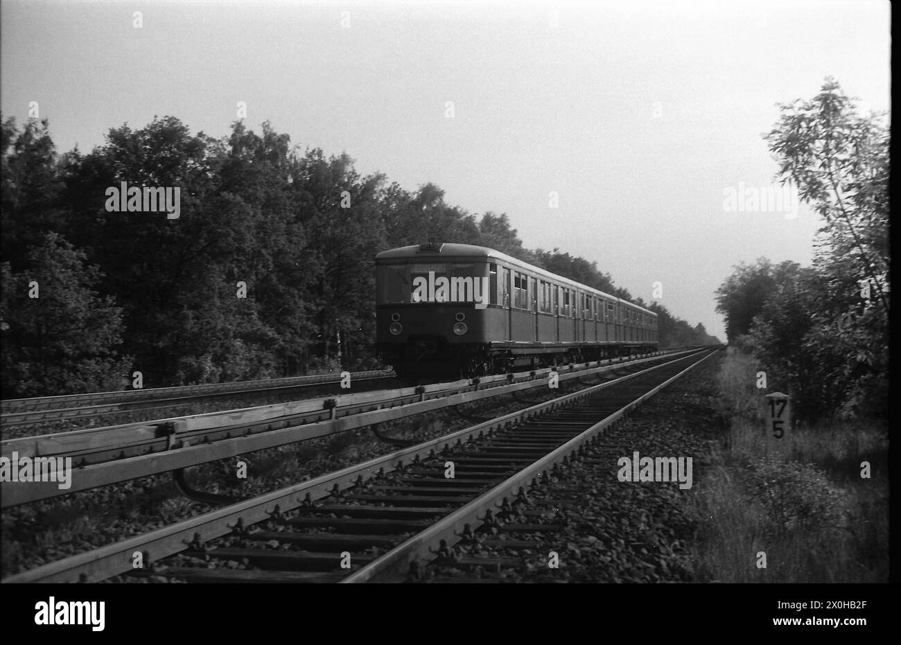 "Le teste rotonde erano il nome dato ai più moderni tipi di S-Bahn, che non avevano più l'aspetto angolare dei treni leggeri. Ma anche loro avevano diversi decenni di ritardo. Qui, sulla linea Wetzlar, si dirige verso la città. [traduzione automatizzata]' Foto Stock
