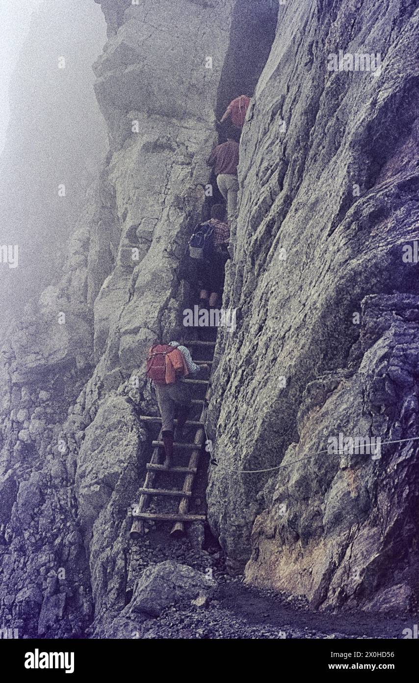 Gli escursionisti salgono una scala su un tratto ripido del sentiero nel Karwendel in nebbia leggera [traduzione automatica] Foto Stock