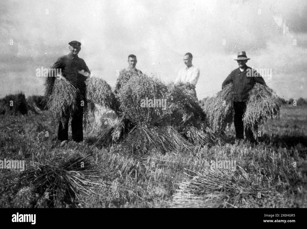 Einbringen der Ernte (Aufnahmedatum: 01.01.1930-31.12.1935) Foto Stock