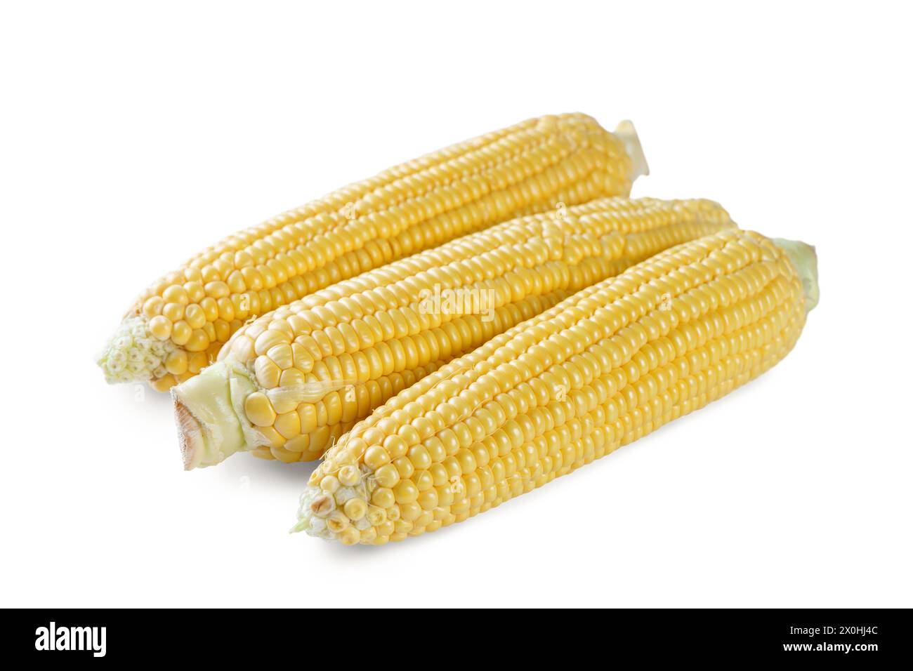 Tre orecchie gialle fresche di mais isolate su sfondo bianco. Ingrediente alimentare, elemento di design, fattoria, raccolto, agricoltura. Foto Stock