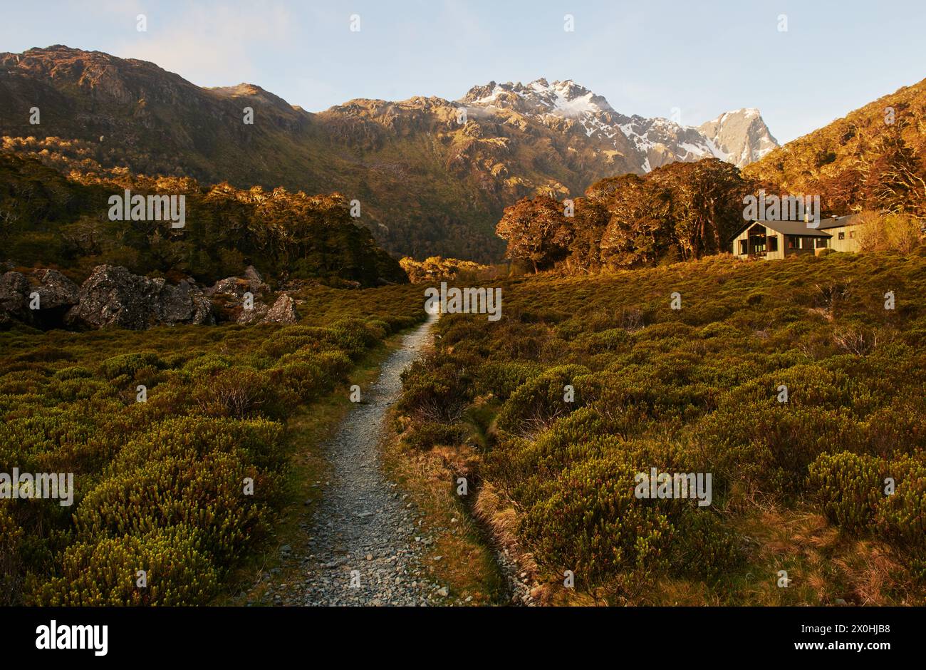 Percorso di Routeburn vicino alla McKenzie Hut, al Fjiordland National Park, all'Isola del Sud, nuova Zelanda Foto Stock