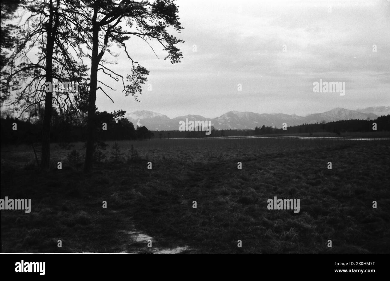 La vista delle Alpi è sempre allettante per scattare foto. [traduzione automatizzata] Foto Stock