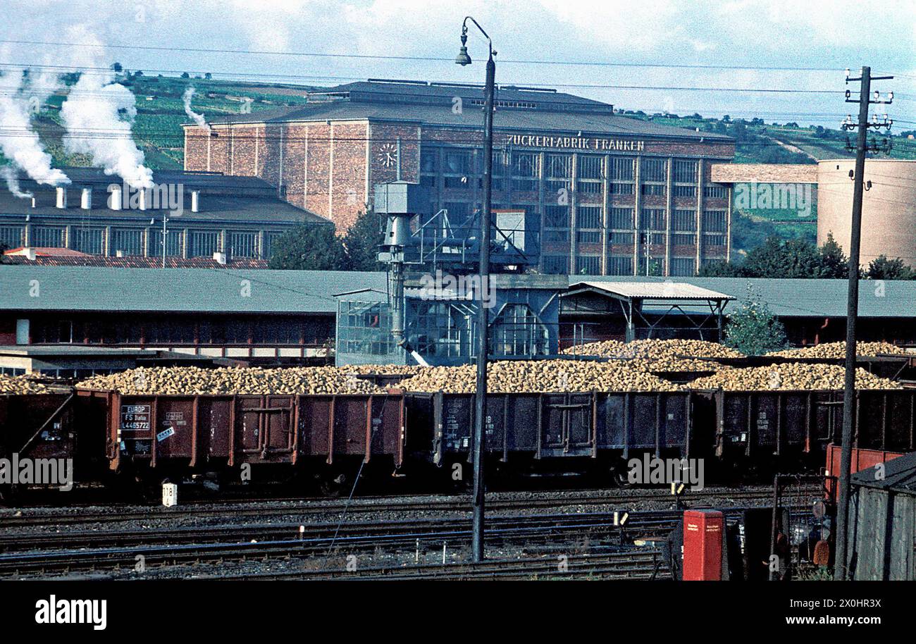 Guarda sopra i carri carichi alla fabbrica di zucchero di Ochsenfurt. [traduzione automatica] Foto Stock