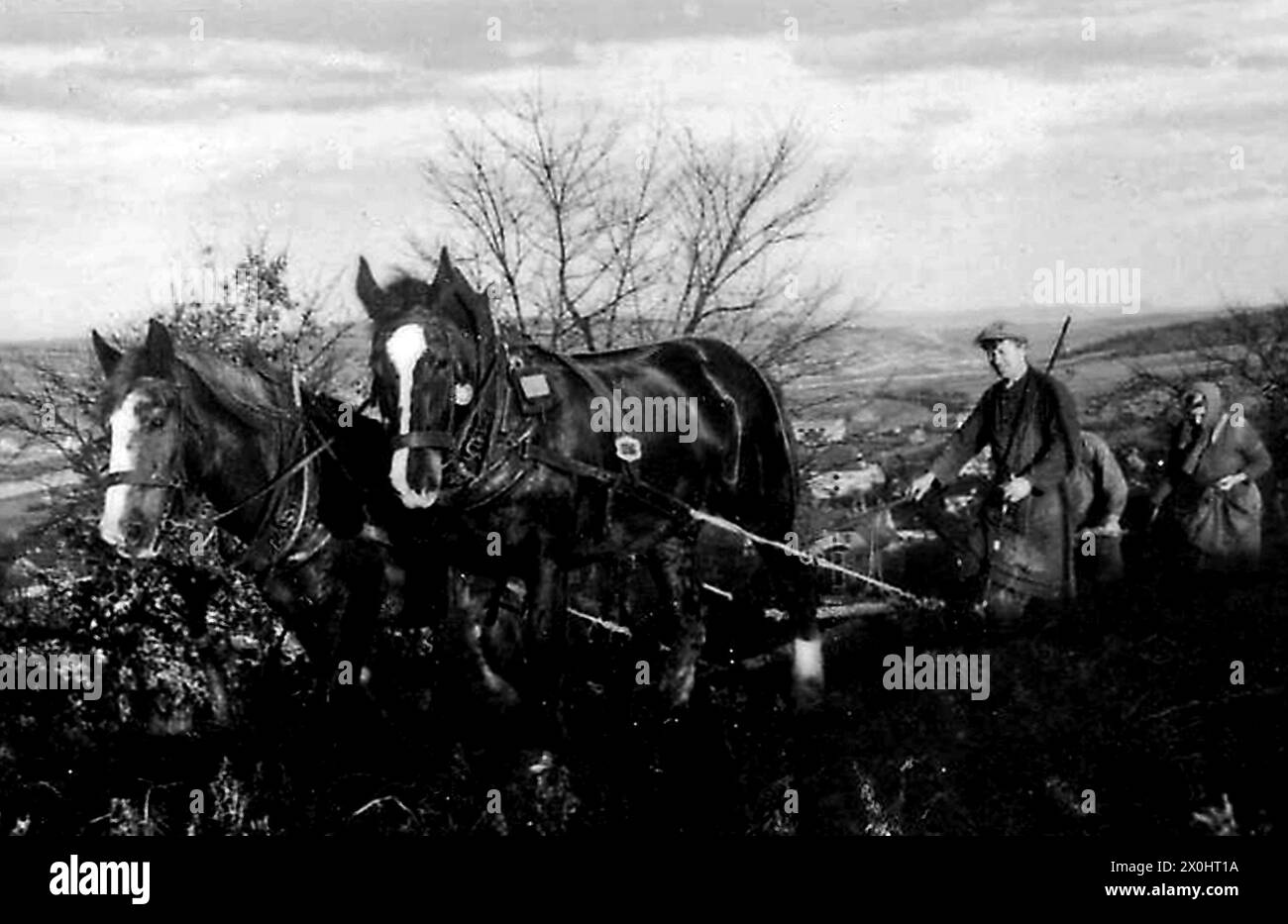 Agricoltore e moglie dell'agricoltore con aratro trainato da cavalli [traduzione automatica] Foto Stock