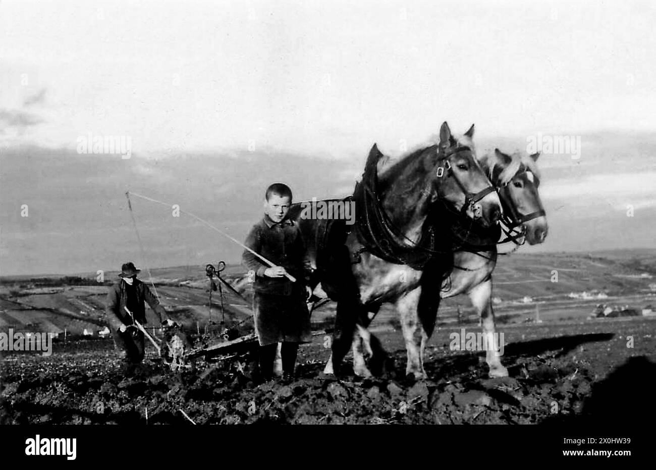 Un contadino e un ragazzo che arano un campo vicino a Ochsenfurt. [traduzione automatica] Foto Stock