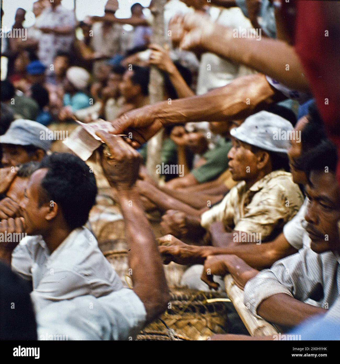 Ein Zuschauer zahlt seinen Wetteinsatz bei einem Hahnenkampf auf Bali in Indonesia. Weitere Zuschauer stehen und sitzen dicht gedrängt um den Kampf zu sehen. (Aufnahmedatum: 01.08.1974-31.08.1974) Foto Stock
