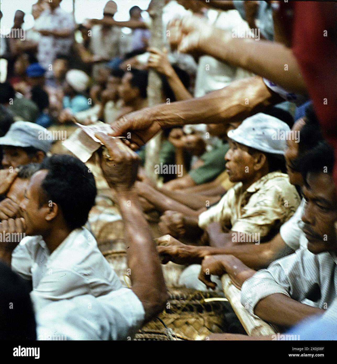Ein Zuschauer zahlt seinen Wetteinsatz bei einem Hahnenkampf auf Bali in Indonesia. Weitere Zuschauer stehen und sitzen dicht gedrängt um den Kampf zu sehen. (Aufnahmedatum: 01.08.1974-31.08.1974) Foto Stock