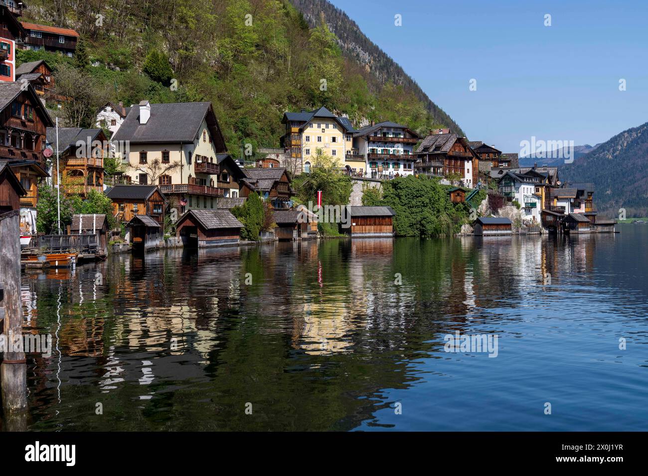 Hallstatt, alta Austria, Austria. 12 aprile 2024. Famosa città austriaca di Hallstatt in primavera. Hallstatt è un villaggio sulla riva occidentale del lago Hallstatt, nella regione montuosa del Salzkammergut in Austria. Le sue case e i vicoli alpini del XVI secolo ospitano caffetterie e negozi. La città è particolarmente popolare tra i turisti cinesi; così popolare infatti, che la Cina costruì una replica della città, che aprì nel 2012. (Immagine di credito: © Andreas Stroh/ZUMA Press Wire/Alamy Live News) SOLO PER USO EDITORIALE! Non per USO commerciale! Foto Stock