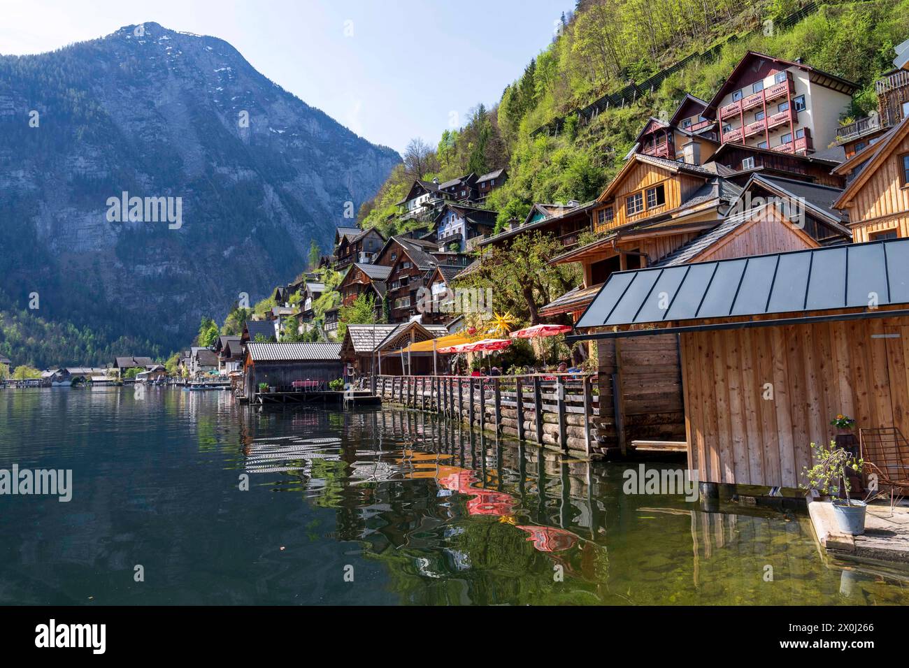 Hallstatt, alta Austria, Austria. 12 aprile 2024. Famosa città austriaca di Hallstatt in primavera. Hallstatt è un villaggio sulla riva occidentale del lago Hallstatt, nella regione montuosa del Salzkammergut in Austria. Le sue case e i vicoli alpini del XVI secolo ospitano caffetterie e negozi. La città è particolarmente popolare tra i turisti cinesi; così popolare infatti, che la Cina costruì una replica della città, che aprì nel 2012. (Immagine di credito: © Andreas Stroh/ZUMA Press Wire/Alamy Live News) SOLO PER USO EDITORIALE! Non per USO commerciale! Foto Stock