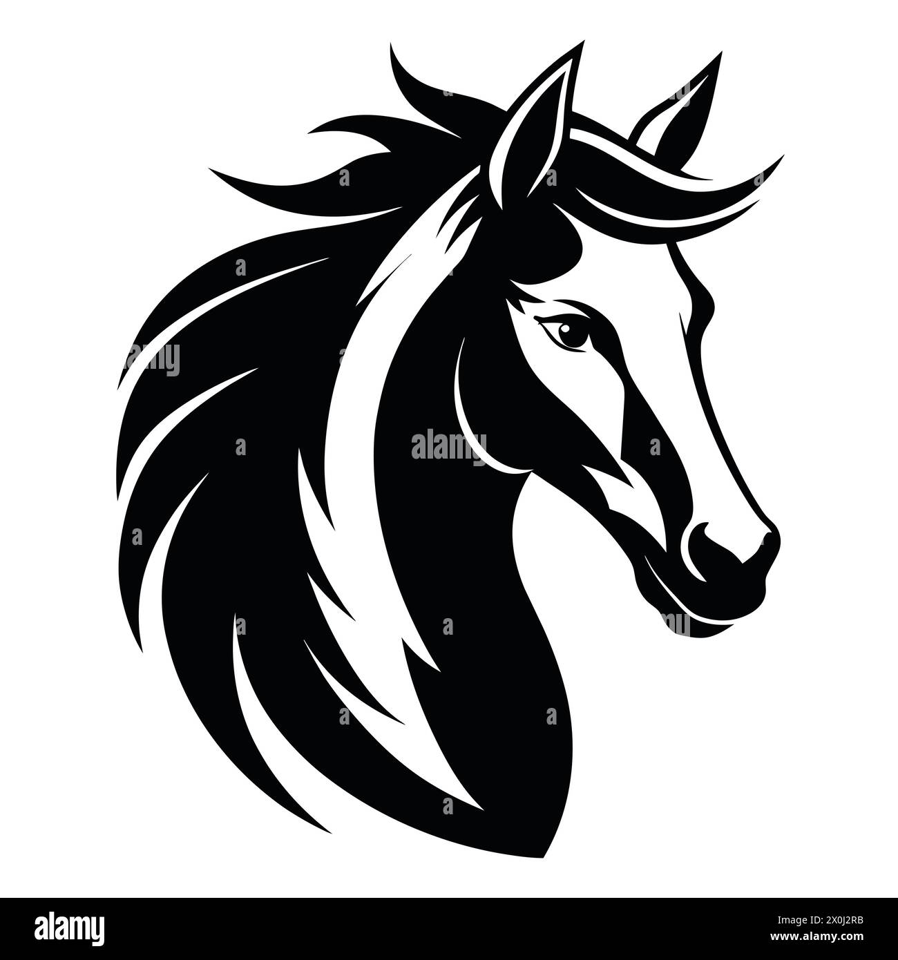 Equipride Cavezza In Corda Con Redini Per L'utilizzo Di - Foto 6