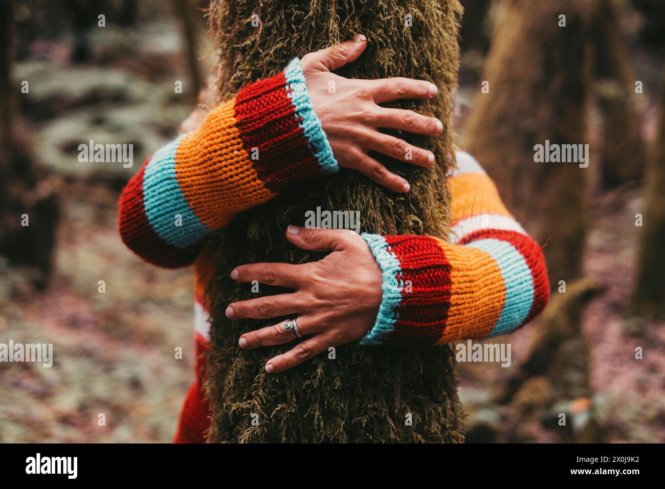 Donna che si unisce abbracciando il tronco dell'albero nella foresta naturale. Indossa un maglione colorato. Concetto di amore natura stile di vita sano. Protezione dell'ambiente e degli alberi. Attività ricreative all'aperto Foto Stock