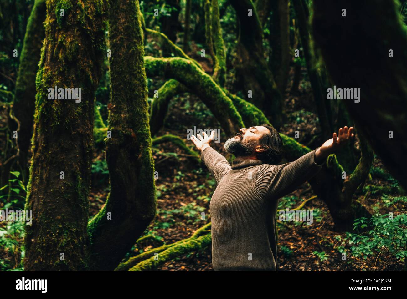 Avventura da uomo adulto in piedi nella foresta e a braccia aperte per successo e soddisfazione emozione. Bilanciamento interno. Stile di vita sano. Ambiente e cambiamento climatico. Un pianeta amorevole Foto Stock