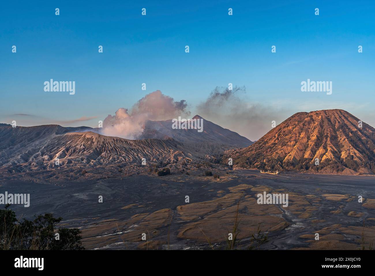 Il vulcano Bromo alto 2329 m nel Parco Nazionale di Bromo-Tengger-Semeru, Giava, Indonesia Foto Stock