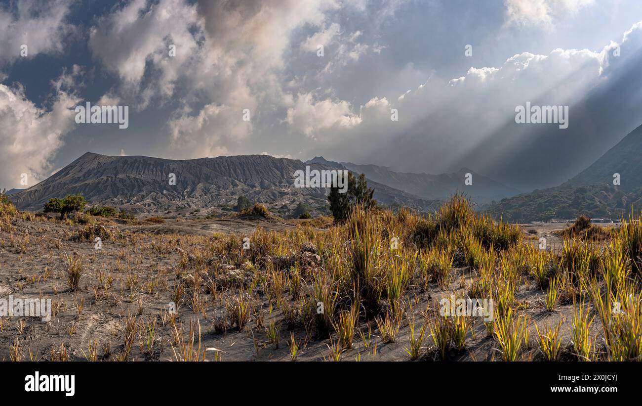 Il vulcano Bromo alto 2329 m nel Parco Nazionale di Bromo-Tengger-Semeru, Giava, Indonesia Foto Stock