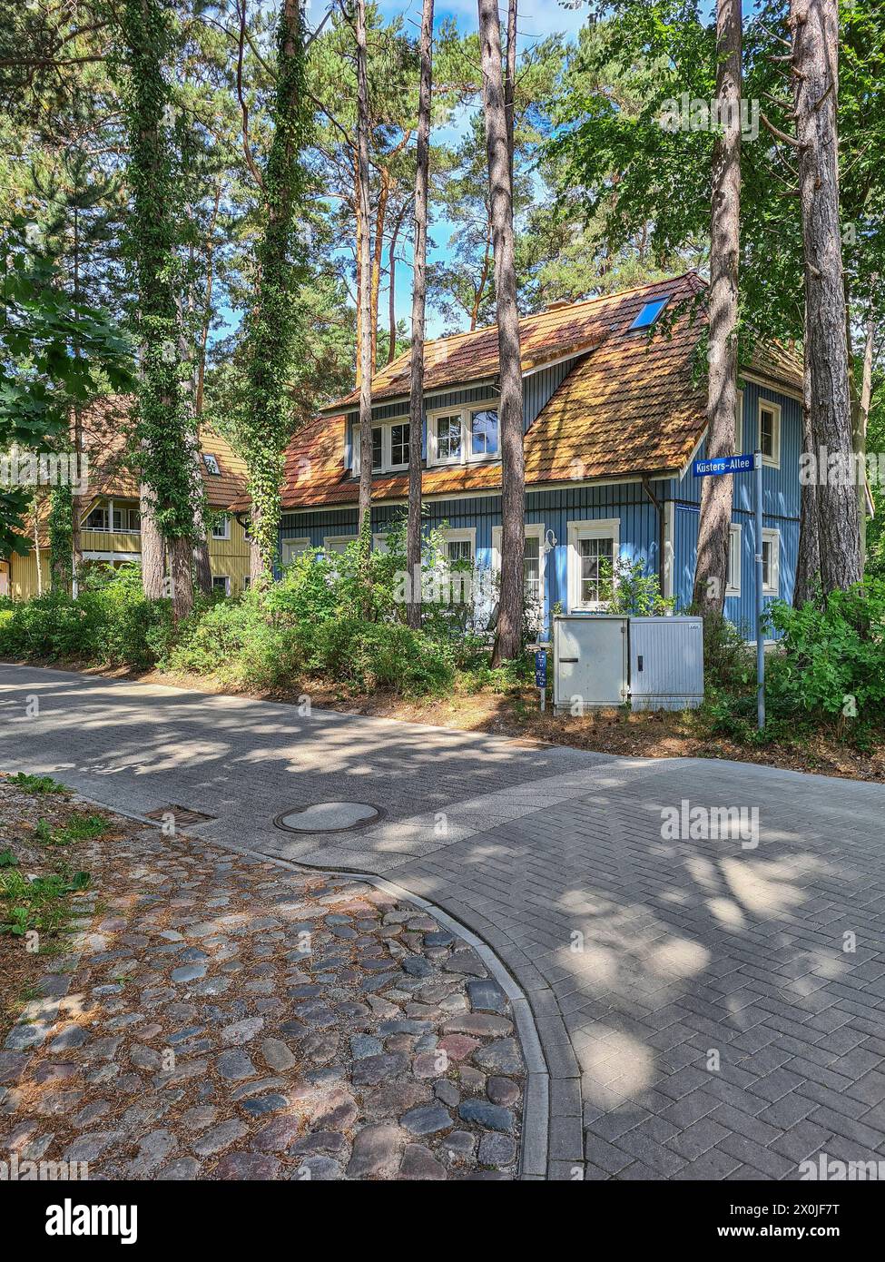 Vista sulla strada di una casa vacanze in tipico stile architettonico nordico su una strada laterale di Prerow, Fischland Darß, Meclemburgo-Vorpommern, Germania Foto Stock