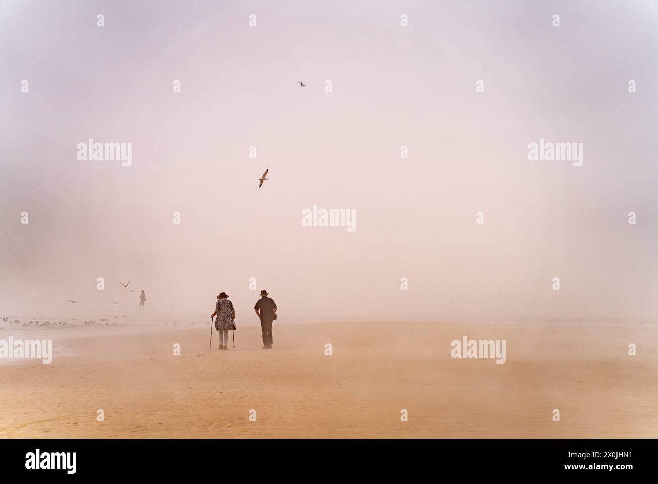 Nebbia sulla spiaggia di Cran d'Escalles sulla Cote d'Opale o sulla Costa d'Opale a Escalles, Francia Foto Stock